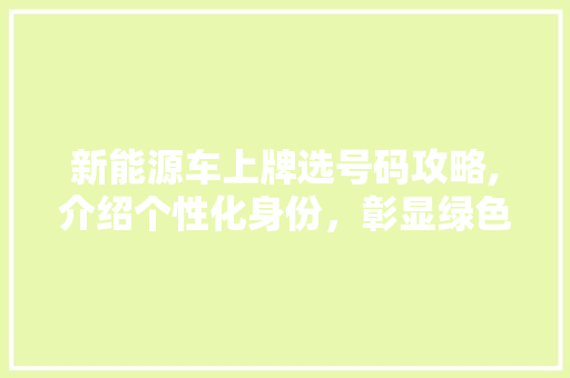 新能源车上牌选号码攻略,介绍个性化身份，彰显绿色出行理念