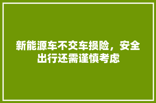 新能源车不交车损险，安全出行还需谨慎考虑 发动机配件