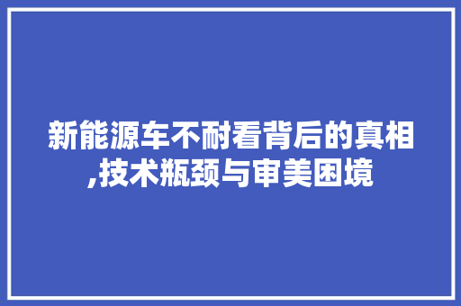 新能源车不耐看背后的真相,技术瓶颈与审美困境