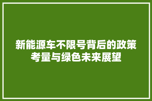 新能源车不限号背后的政策考量与绿色未来展望