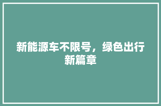新能源车不限号，绿色出行新篇章