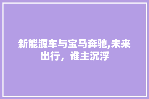 新能源车与宝马奔驰,未来出行，谁主沉浮 车身配件
