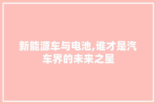 新能源车与电池,谁才是汽车界的未来之星