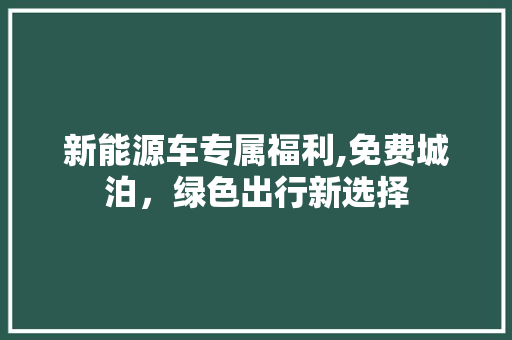 新能源车专属福利,免费城泊，绿色出行新选择