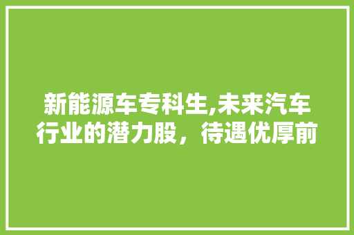 新能源车专科生,未来汽车行业的潜力股，待遇优厚前景广阔 汽车配件