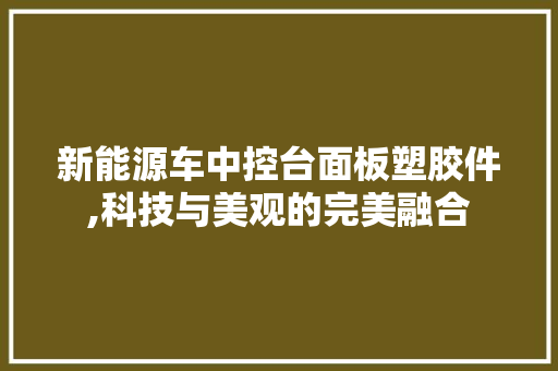 新能源车中控台面板塑胶件,科技与美观的完美融合