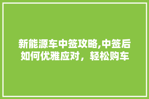 新能源车中签攻略,中签后如何优雅应对，轻松购车