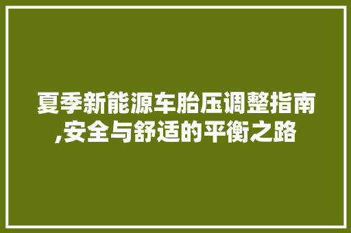 夏季新能源车胎压调整指南,安全与舒适的平衡之路