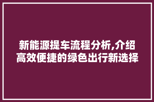 新能源提车流程分析,介绍高效便捷的绿色出行新选择