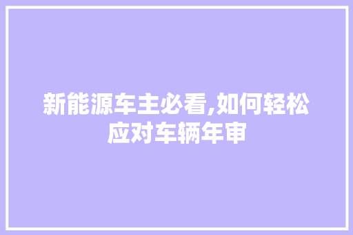 新能源车主必看,如何轻松应对车辆年审