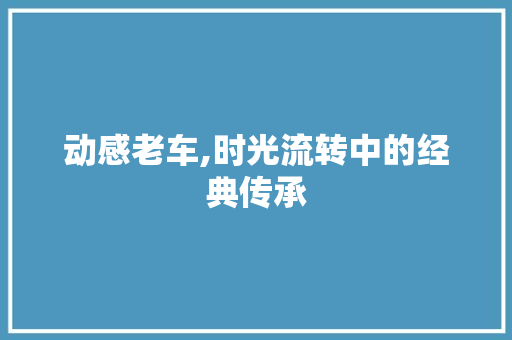 动感老车,时光流转中的经典传承
