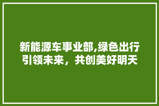 新能源车事业部,绿色出行引领未来，共创美好明天