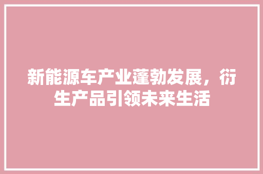 新能源车产业蓬勃发展，衍生产品引领未来生活