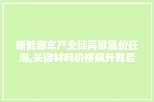 新能源车产业链再掀涨价狂潮,关键材料价格飙升背后的原因与影响