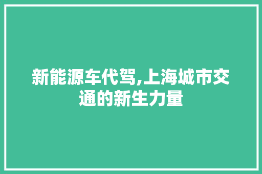 新能源车代驾,上海城市交通的新生力量