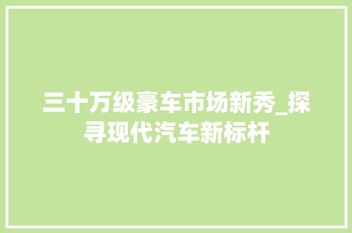 三十万级豪车市场新秀_探寻现代汽车新标杆 新款车型
