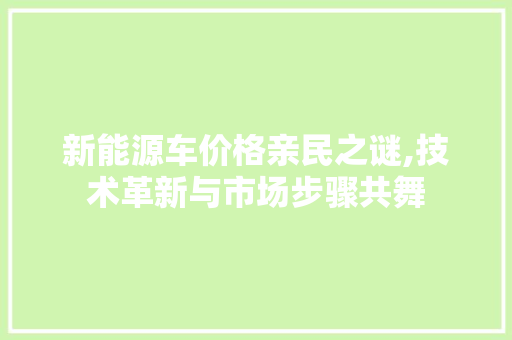 新能源车价格亲民之谜,技术革新与市场步骤共舞