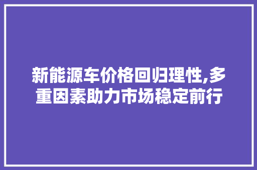 新能源车价格回归理性,多重因素助力市场稳定前行