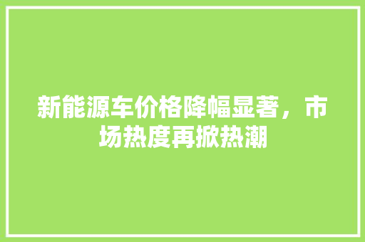 新能源车价格降幅显著，市场热度再掀热潮