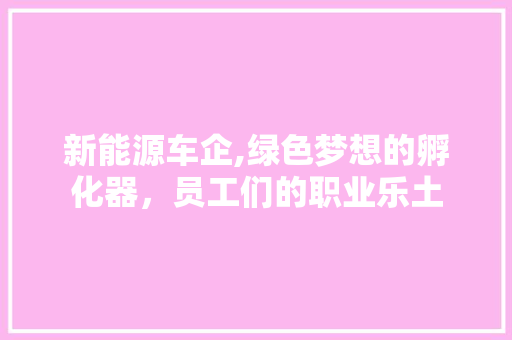 新能源车企,绿色梦想的孵化器，员工们的职业乐土