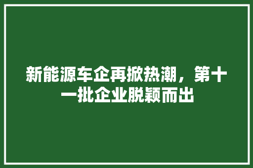 新能源车企再掀热潮，第十一批企业脱颖而出