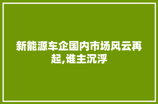 新能源车企国内市场风云再起,谁主沉浮