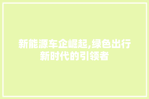 新能源车企崛起,绿色出行新时代的引领者