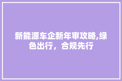 新能源车企新年审攻略,绿色出行，合规先行