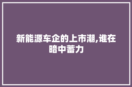 新能源车企的上市潮,谁在暗中蓄力