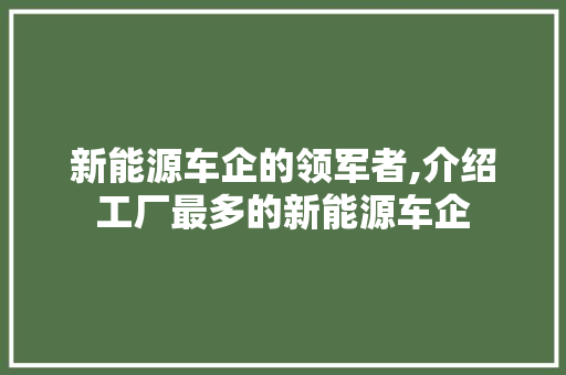新能源车企的领军者,介绍工厂最多的新能源车企