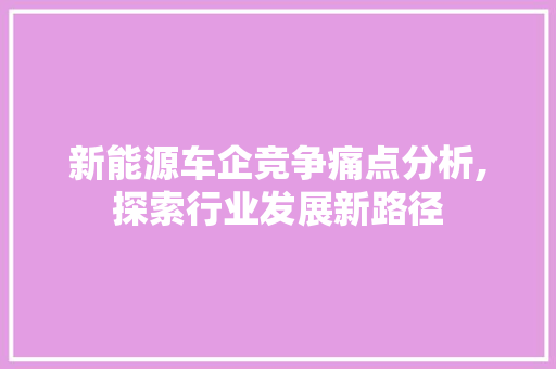 新能源车企竞争痛点分析,探索行业发展新路径