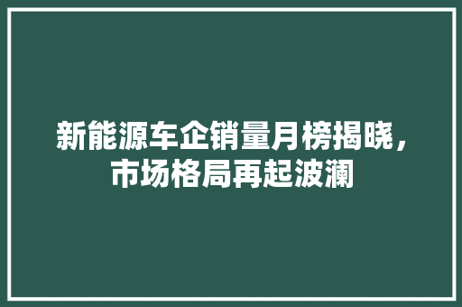 新能源车企销量月榜揭晓，市场格局再起波澜