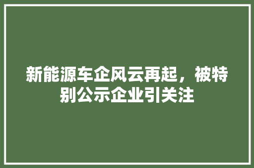 新能源车企风云再起，被特别公示企业引关注