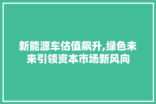 新能源车估值飙升,绿色未来引领资本市场新风向