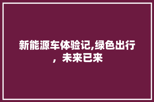 新能源车体验记,绿色出行，未来已来