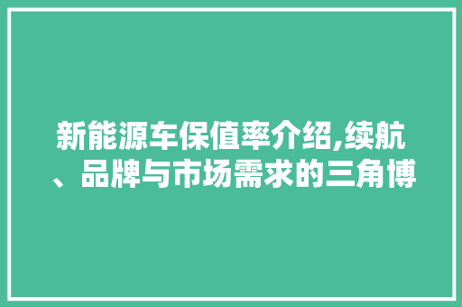 新能源车保值率介绍,续航、品牌与市场需求的三角博弈