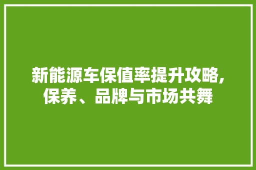 新能源车保值率提升攻略,保养、品牌与市场共舞