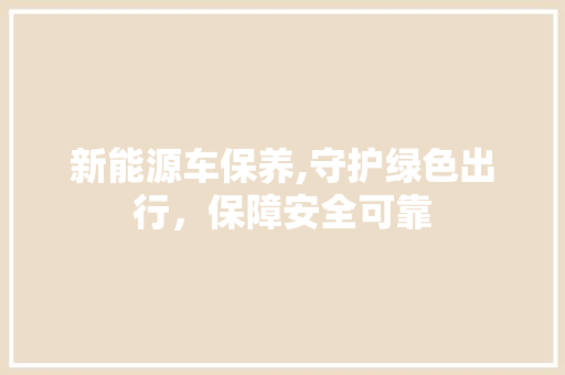 新能源车保养,守护绿色出行，保障安全可靠