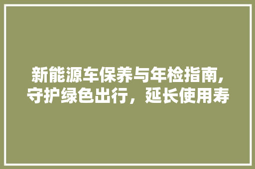 新能源车保养与年检指南,守护绿色出行，延长使用寿命