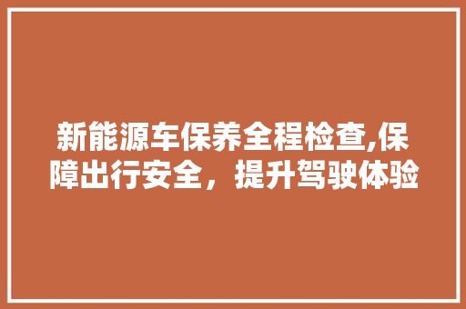 新能源车保养全程检查,保障出行安全，提升驾驶体验