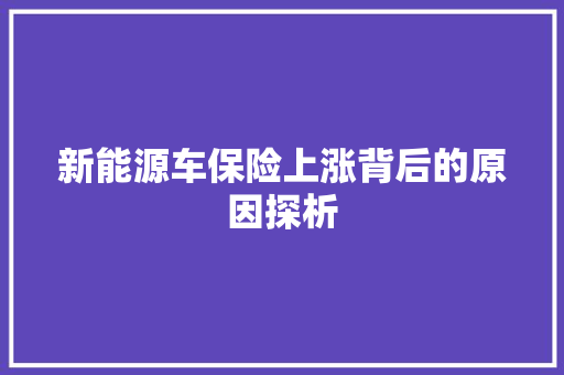 新能源车保险上涨背后的原因探析