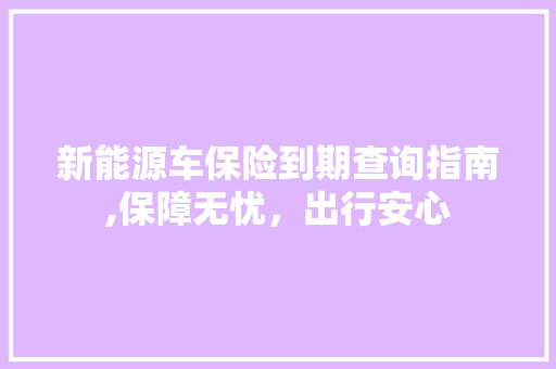 新能源车保险到期查询指南,保障无忧，出行安心