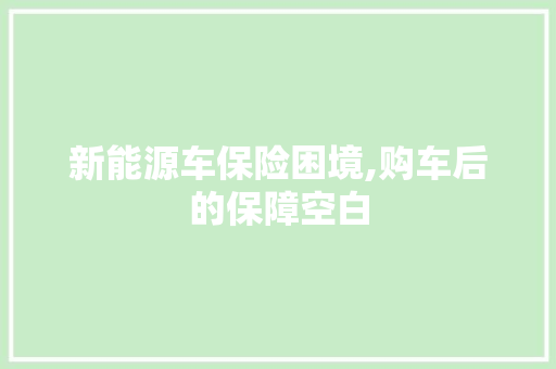 新能源车保险困境,购车后的保障空白