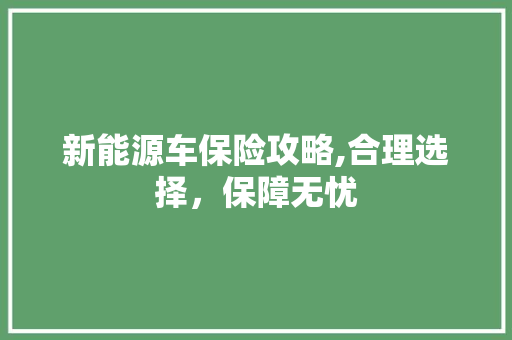 新能源车保险攻略,合理选择，保障无忧