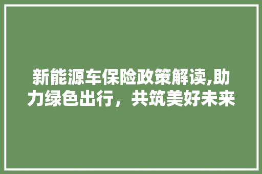 新能源车保险政策解读,助力绿色出行，共筑美好未来