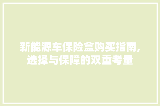 新能源车保险盒购买指南,选择与保障的双重考量