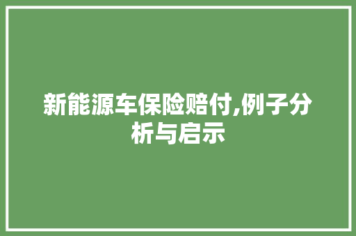 新能源车保险赔付,例子分析与启示