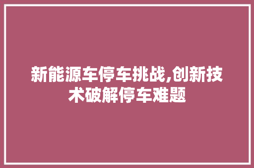 新能源车停车挑战,创新技术破解停车难题