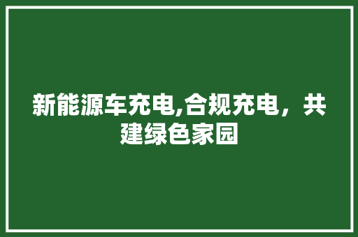 新能源车充电,合规充电，共建绿色家园