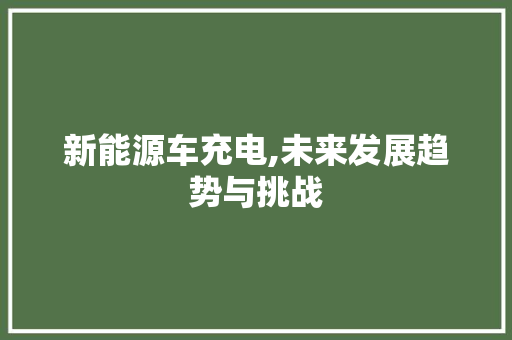 新能源车充电,未来发展趋势与挑战